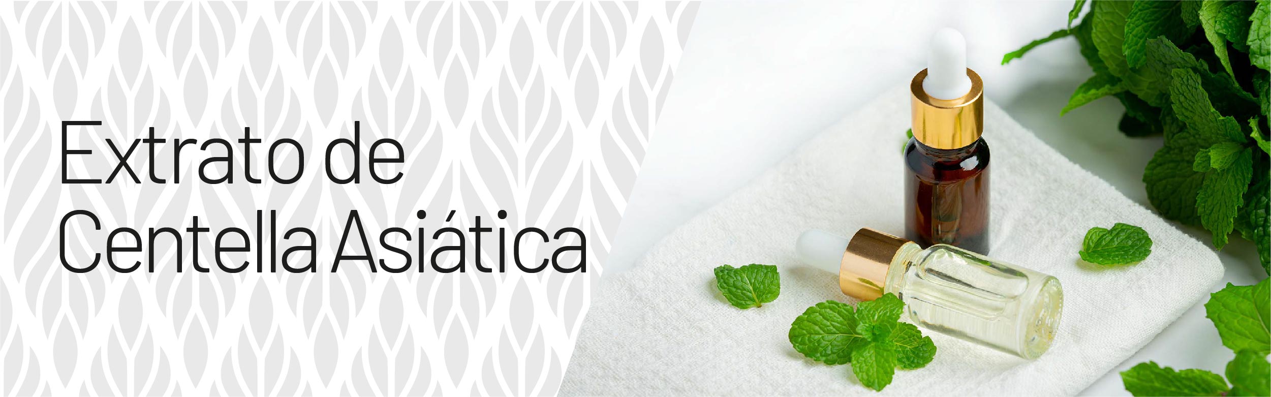Extrato de Centella Asiática
